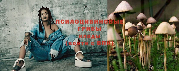 сатива Вязники
