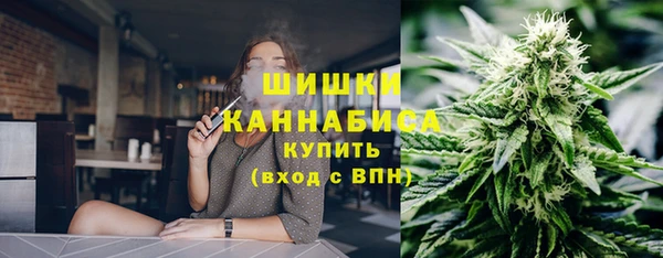 сатива Вязники
