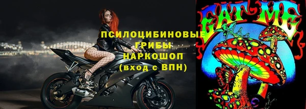 сатива Вязники